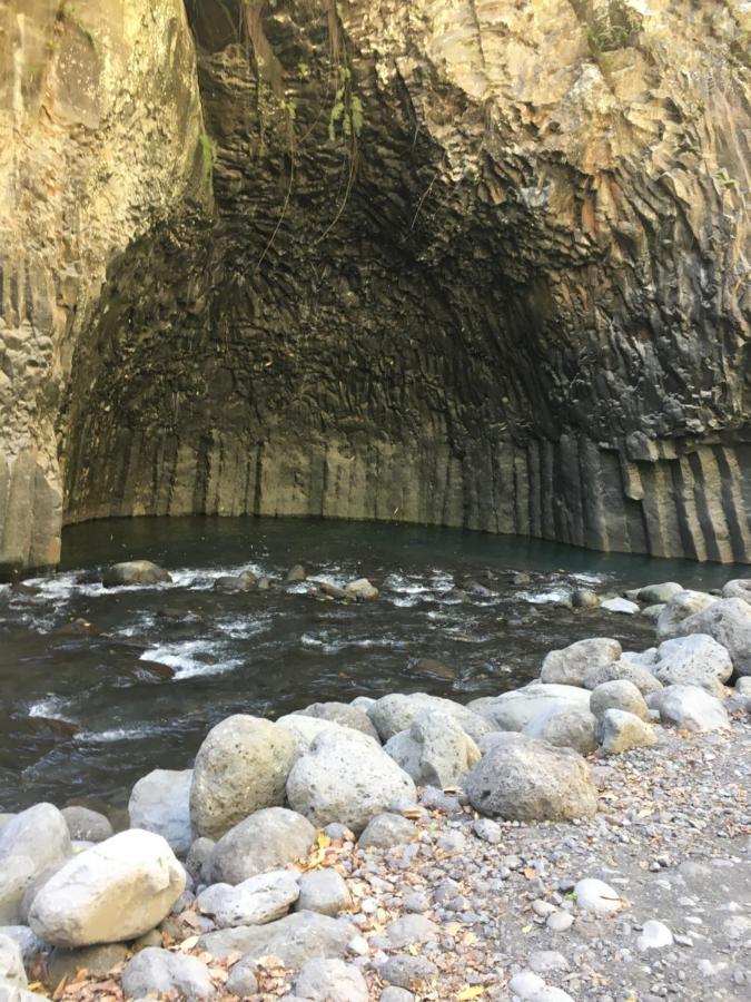 Апартаменты Au Coeur Du Sud Сен-Жозеф Экстерьер фото